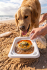 CHUKUS Abalone & Pumpkin Terrine, Carrots and Lotus Roots 100g - Fresh Treats Shelf-Stable