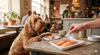 CHUKUS Whole Salmon 200g - Fresh Treats Shelf-Stable